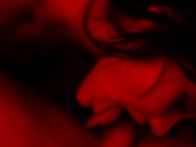 AMINA делает минет