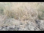 SweetButtocks с мужиком