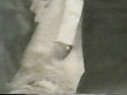 Домашняя порнушка 96 года