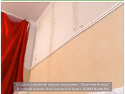Alinn1ножки вверх