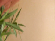 пьяная светка1