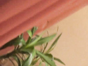 пьяная светка1