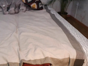penelopa77
