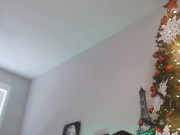 Skyewatson 2020-12-15