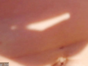 meow_lilit