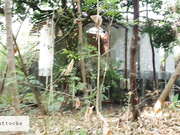 SweetButtocks с подругой (платный контент)