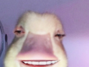 karinka1sex
