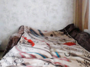 runetki.com-hotgirlcat