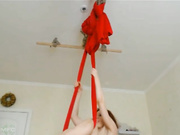 FixGinger