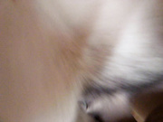 V for vendetta на пизде 2