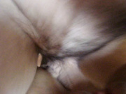 V for vendetta на пизде 2