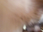 V for vendetta на пизде 2