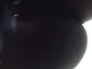 BlackyBirdy