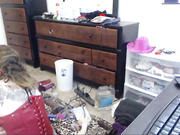 animergamergirl и её игрушки