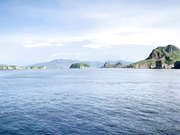 Екатерина Скаредина (KatyaClover)