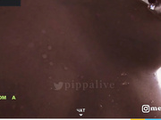 pippalee