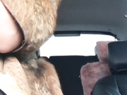 _AMBASSADOR_ aka AmandaWhite в машине