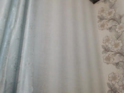 miniature1