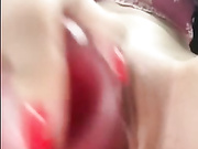 Sarsei