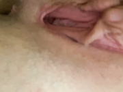 ToriNiksy