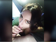 SEKSI-DAMA