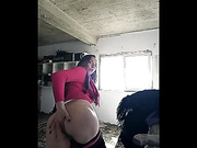 Alimela