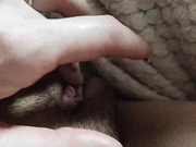 Furyfox69