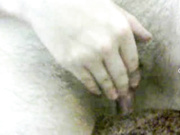 sheftali