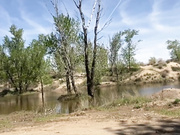 BellaLike_2021-05-06