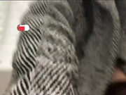 -Your_lusi-в туалете