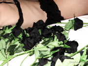 Lana_Rhoades onlyfans