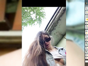 KiKas__so1231