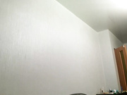 Kir254