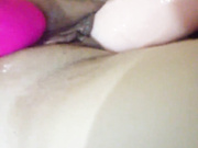 Polly40