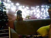 Dilirei-club секс-шоу-3