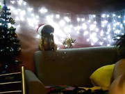 Dilirei-club секс-шоу-3