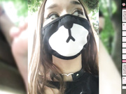 Amallllia