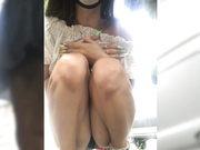 Amallllia