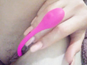 Polly40