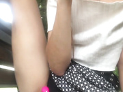 Amallllia