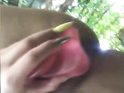Amallllia