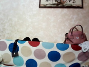 AssFox (aka Lyaguska)