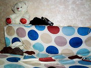 AssFox (aka Lyaguska)