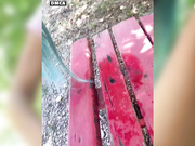 Amallllia 2021-07-16