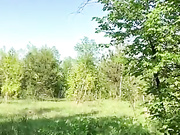 kika-Co