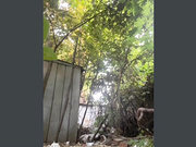 Amallllia трахает себя дилдо