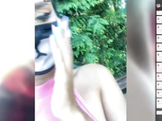 Amallllia