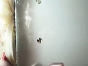 Eronicaa