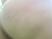 ButterflySay