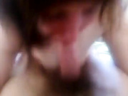 Соси шалава